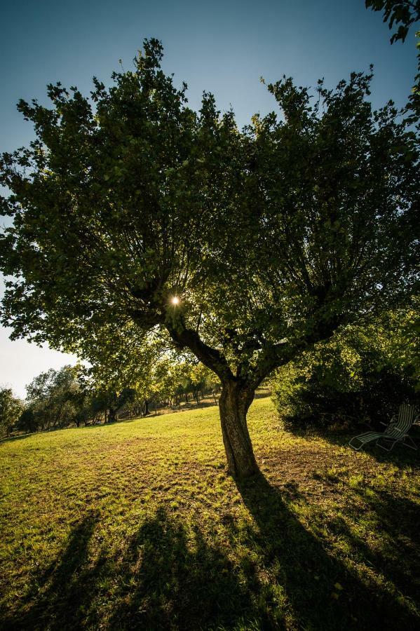Podere Belvedere Tuscany Pontassieve Exterior foto